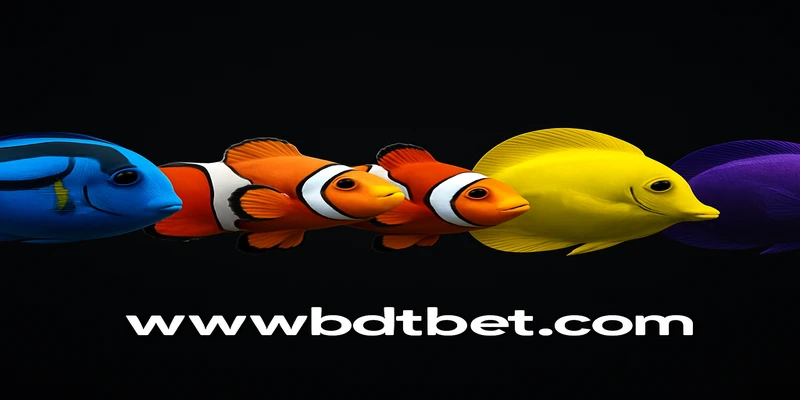 bdtbet আন্তর্জাতিক লাইসেন্স ও সুদৃঢ় নিরাপত্তা